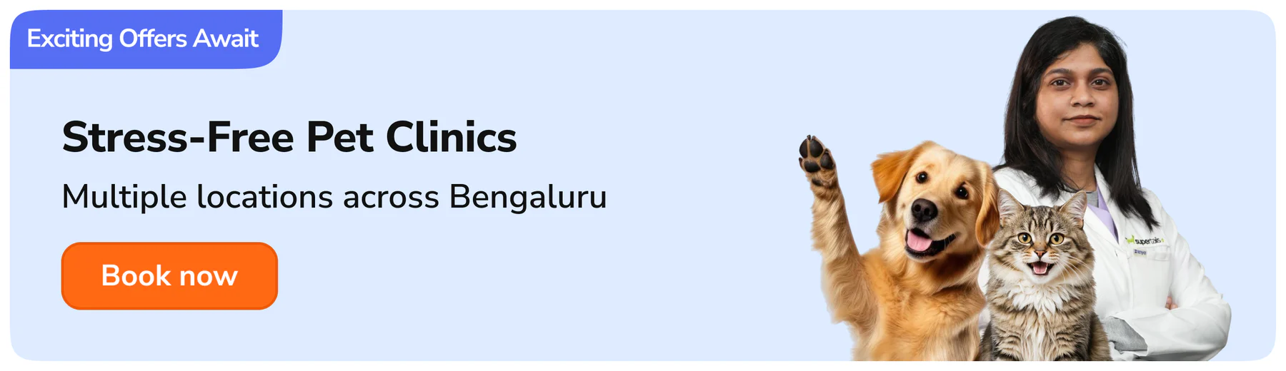 Unleash Style for Your Pets